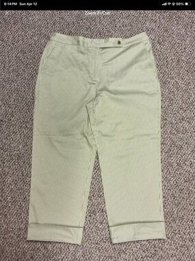 Talbots Avocado & White Pinstripe Crop Pants. Size 12. NWOT
